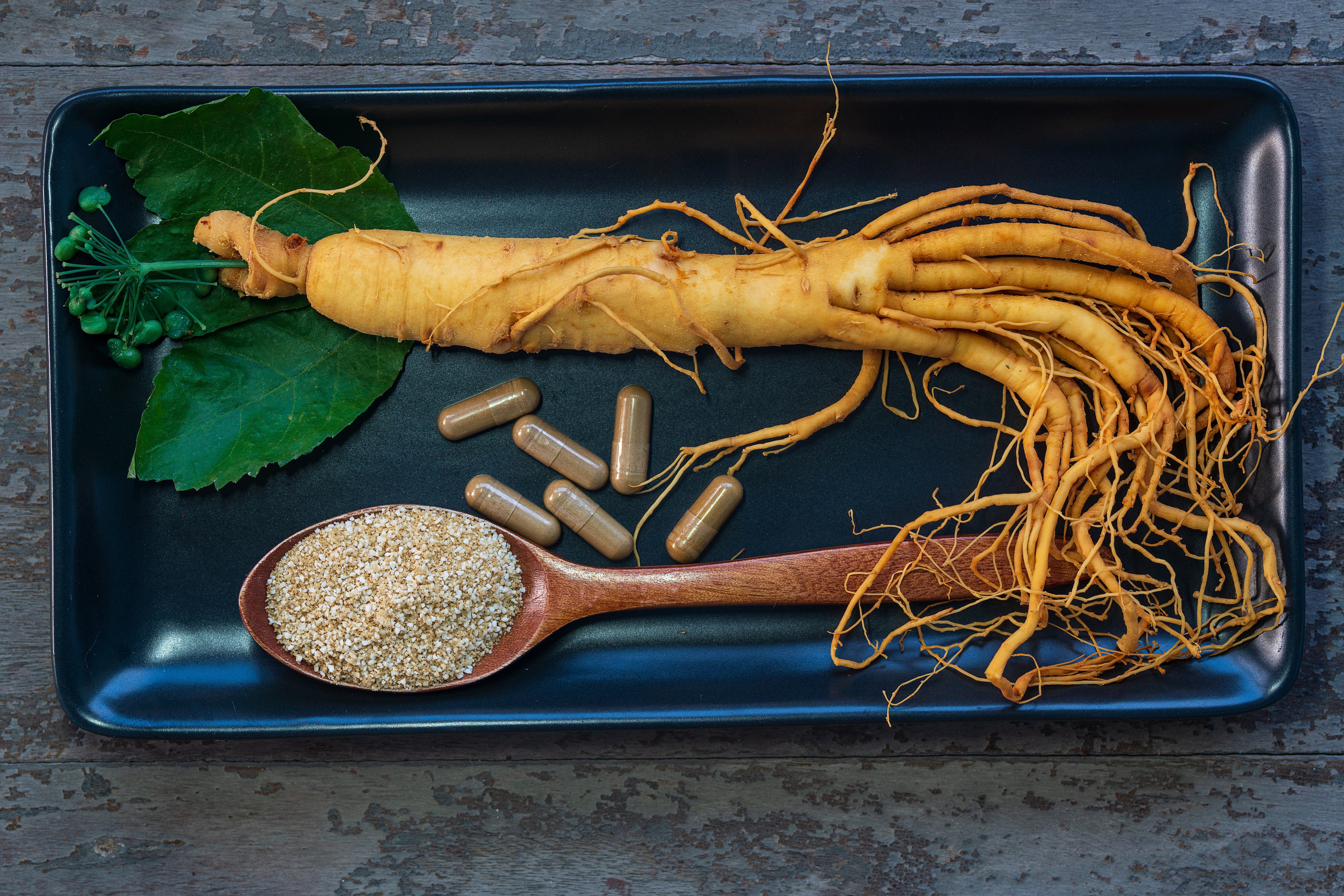 BrainTree Nutrition-Blog-Unleash Your Inner Genius with Asian Ginseng Root Extract