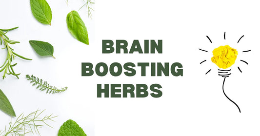 BrainTree Nutrition-Blog-Natural Herbs for Memory Boosting