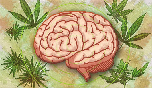 BrainTree Nutrition-Blog-Weed and Brain Health