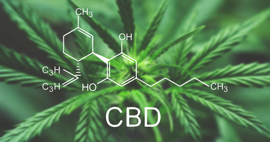 BrainTree Nutrition-Blog-CBD for Brain Health