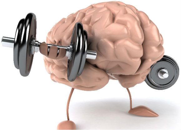 BrainTree Nutrition-Blog-Supplement for Memory