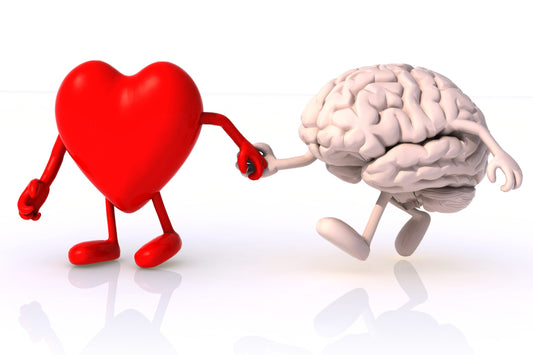 BrainTree Nutrition-Blog-Nootropic for better brain and heart health