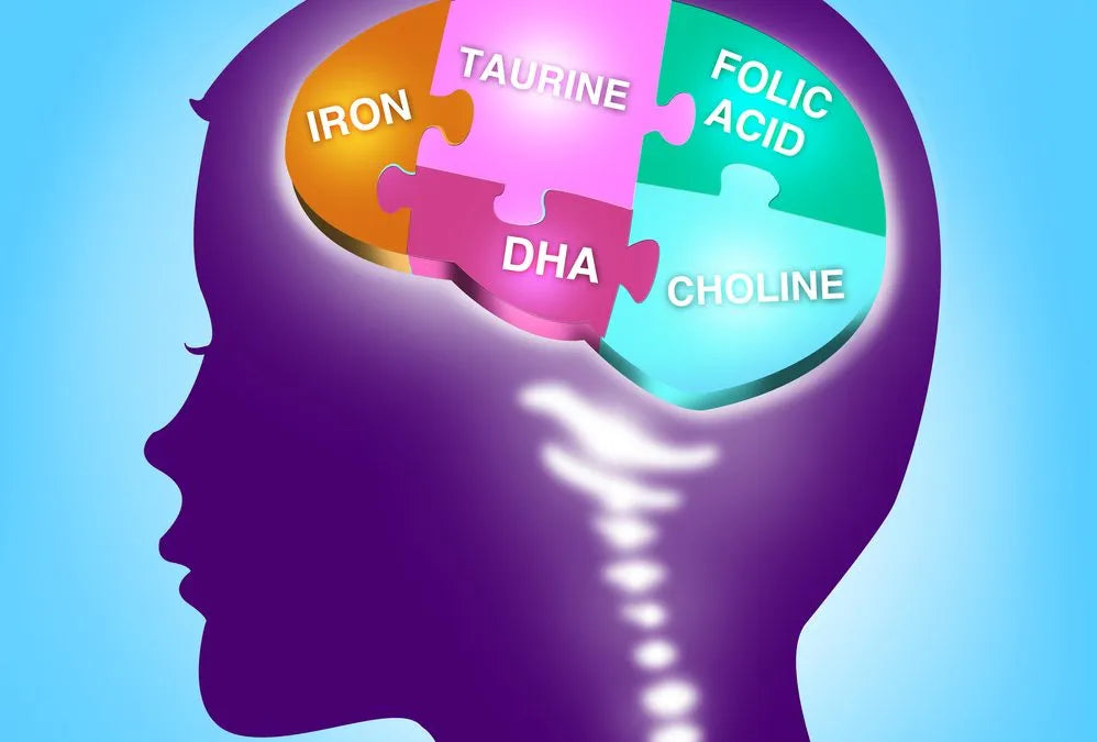 Choline and Its Crucial Role in Cognitive Health – BrainTree Nutrition