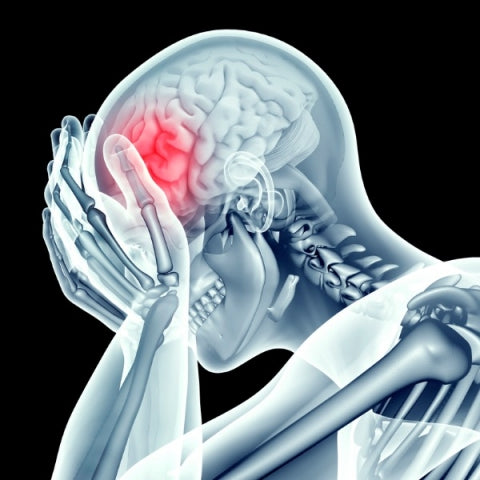 BrainTree Nutrition-Blog-How Chronic Stress Impacts the Brain