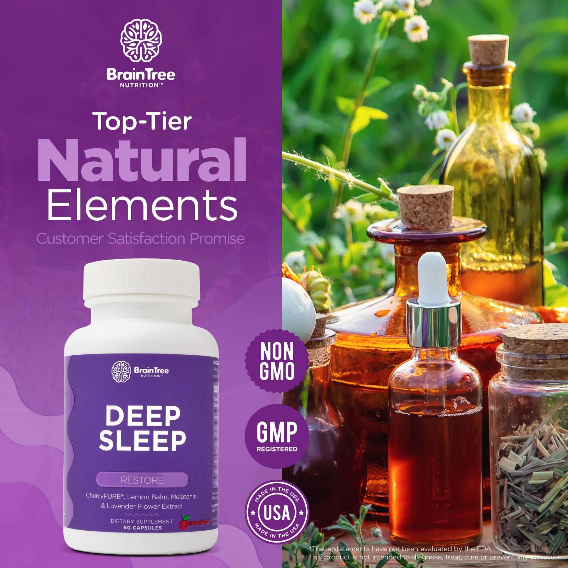 BrainTree Nutrition-Deep Sleep Supplement