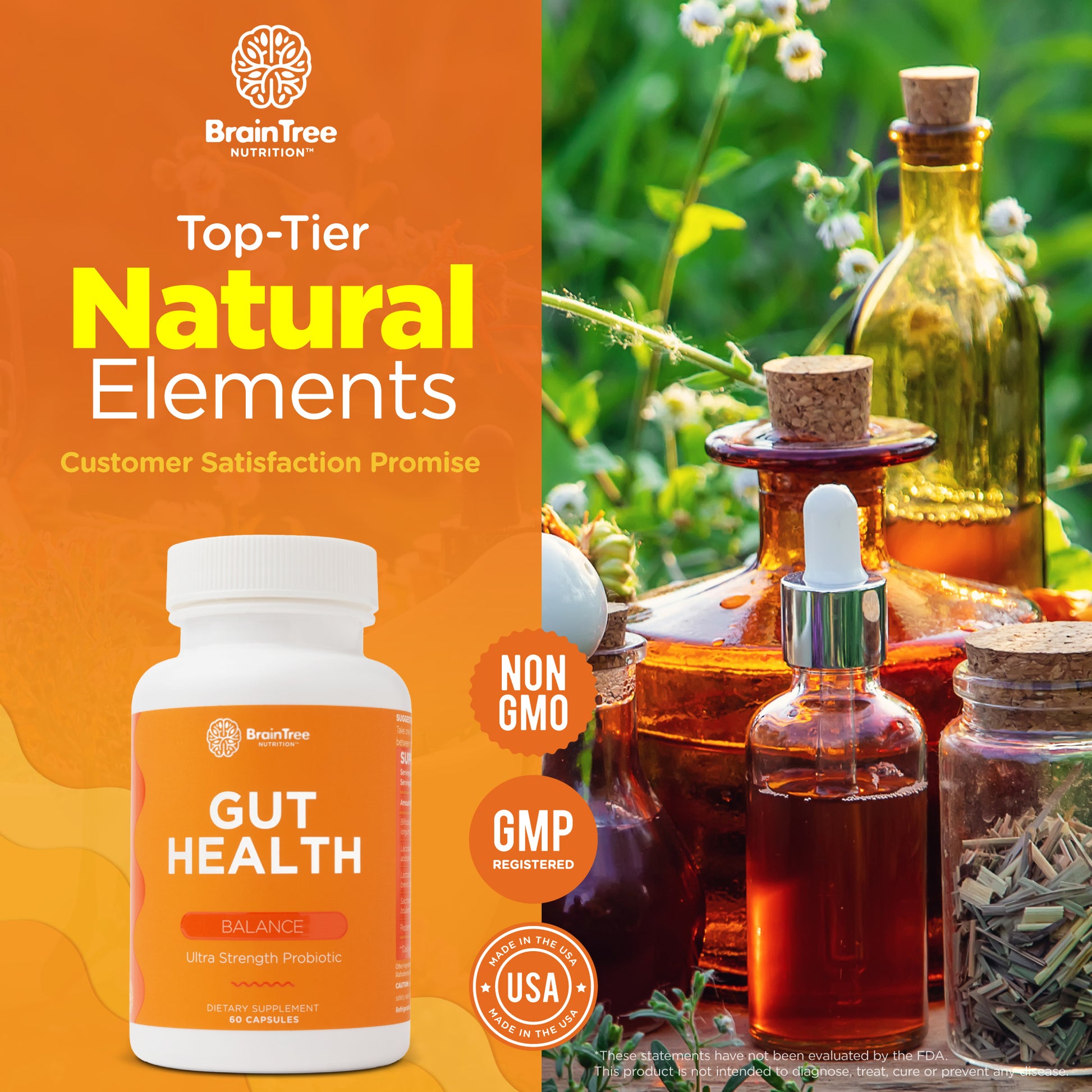 BrainTree Nutrition-Top Tier Natural Elements