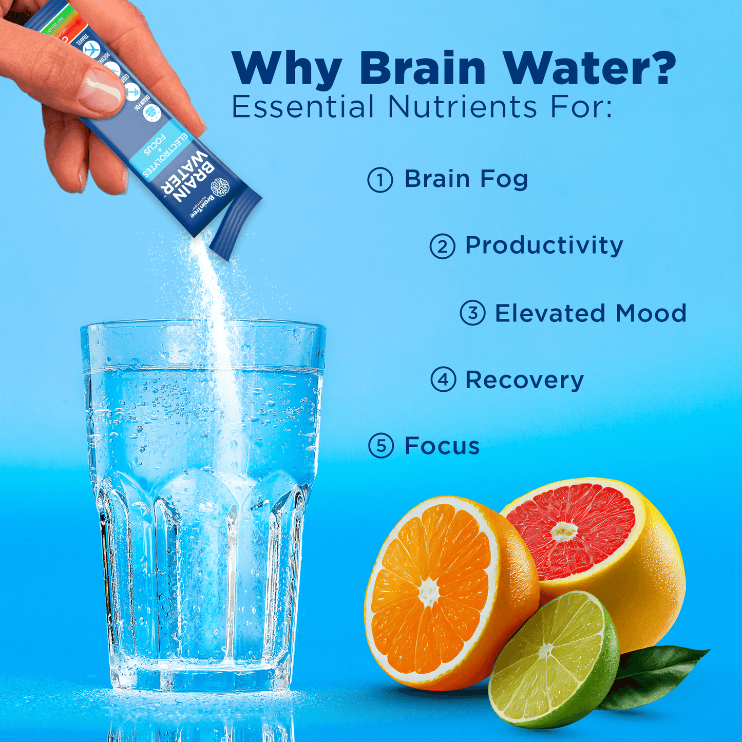 why brain water - essential nutrients