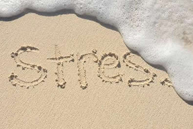 BrainTree Nutrition Supplements - Stress